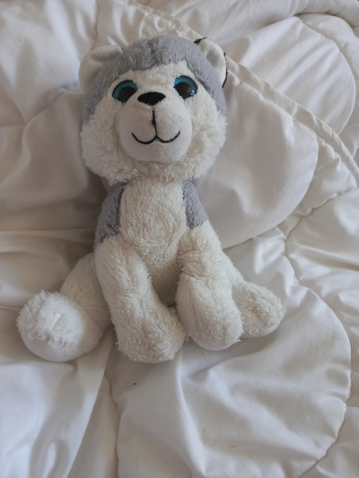 Plyšák pejsek Husky