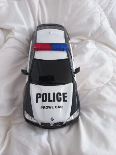 Auto velké policejní