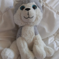 Plyšák Husky