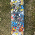 Skateboard