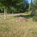 zemina, hlína k zasypání, dorovnání apod.