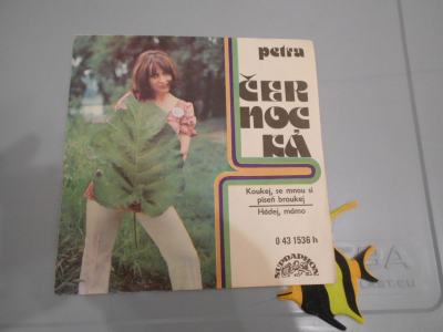 Gramofonová deska Petra Černocká