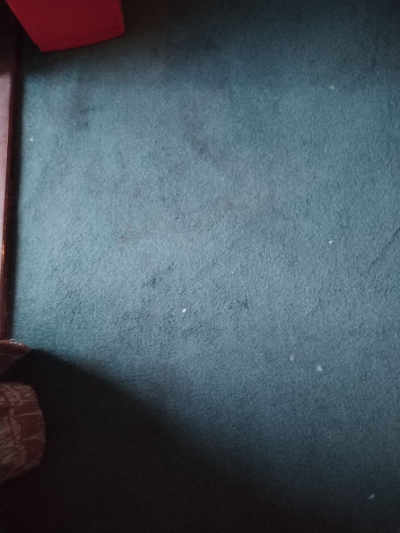 Daruji koberce staré, na stavbu, do garáže