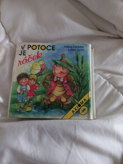 Kniha racek v potoce