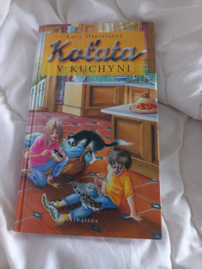 Kniha