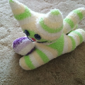 Kocicka