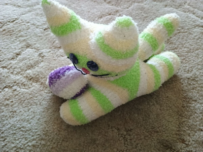 Kocicka