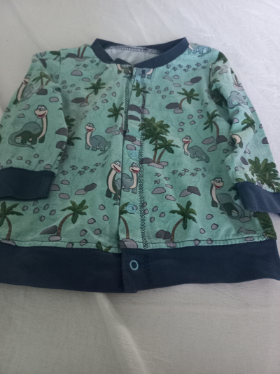 Mikina dinosaurus 74/80
