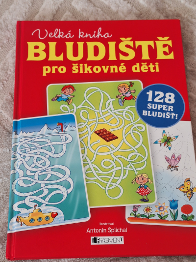Kniha Bludiste pro male deti