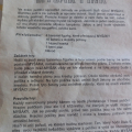 Hra Myšák Pink