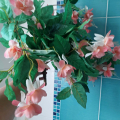 umělá kytice (Fuchsie) – růžovobílá