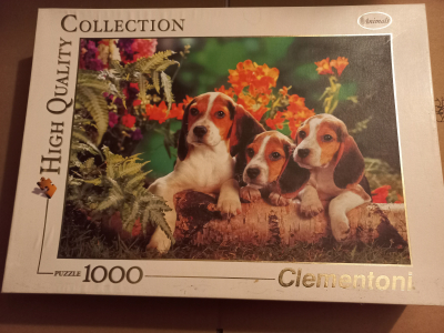Puzzle psi