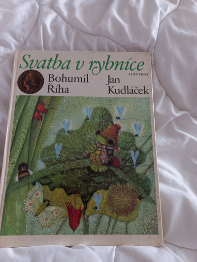 Kniha Svatba v rybníce