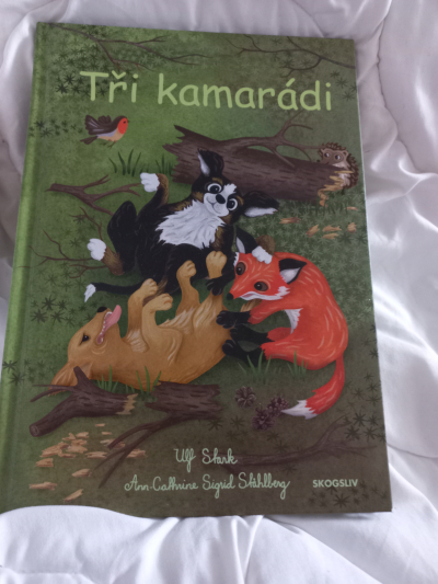 Kniha Tři kamarádi