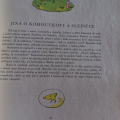 Kniha Pohádky, říkadla a hádanky