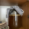 scoby kombucha