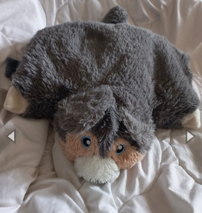 Plyšový polstarek Husky
