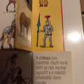 Kniha Koně a poníci otvírací okénka