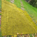 Starší větší koberec 2,5m x 2,5m/ 2,9m pod bazén, do garáže