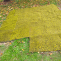 Starší větší koberec 2,5m x 2,5m/ 2,9m pod bazén, do garáže
