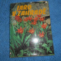 Jaro v zahradě
