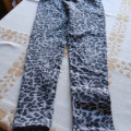 leginy asi 5 let-6