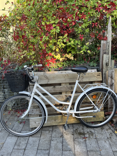 Kolo