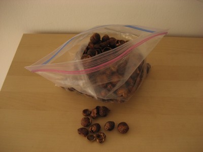 Mýdlové ořechy
