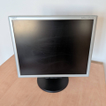 Monitor NEC 19"