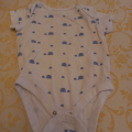 Body slon vel.74
