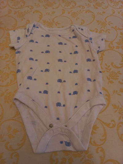 Body slon vel.74
