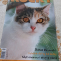 krásná kočička