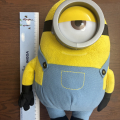 Plysak mimon