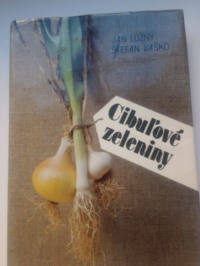 Kniha, ve slovenštině