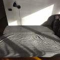 Daruji za odvoz dvě starší pohovky Beddinge Ikea