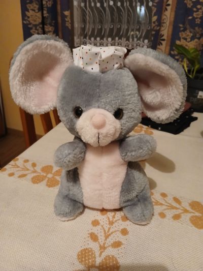 slečna koala