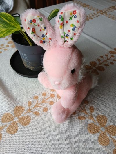 králičí slečna půvabná