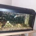 60L akvárium