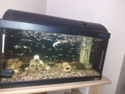 60L akvárium