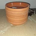 Daruji 7 podmisek pro květináče - průměr 20cm