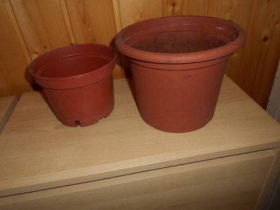 Daruji p 2 plast květináče 