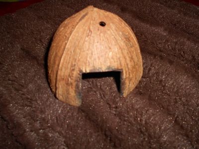 Kokosový domeček pro křečíka džungarského :-)