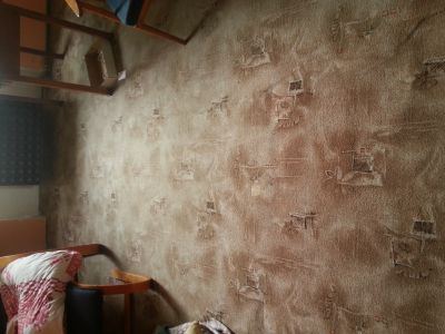 koberec starší ale udržovaný