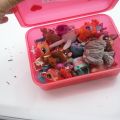 Velká sada Littlest pet shop