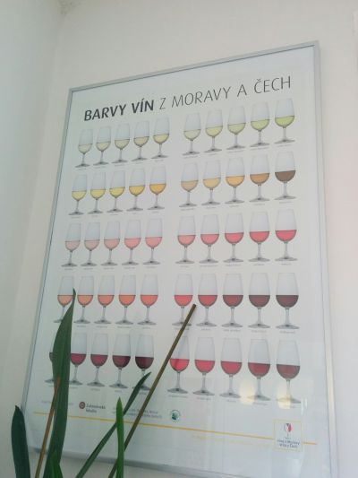 Plakát Barvy vín, nový, bez rámu