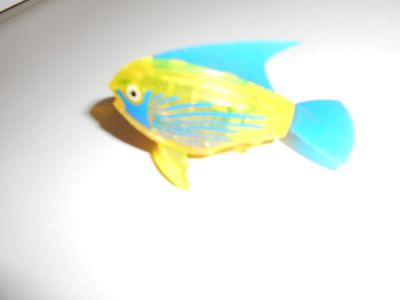 Malá rybička - roboryba