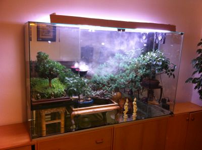 Skleněná vitrína/terárium