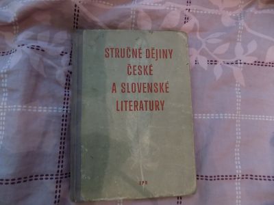Stručné dějiny české a slovenské literatury