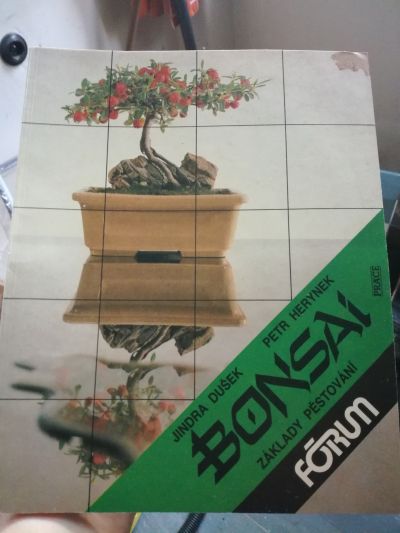 Bonsai - základy pěstování