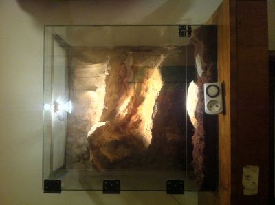 Terarium pro plazy